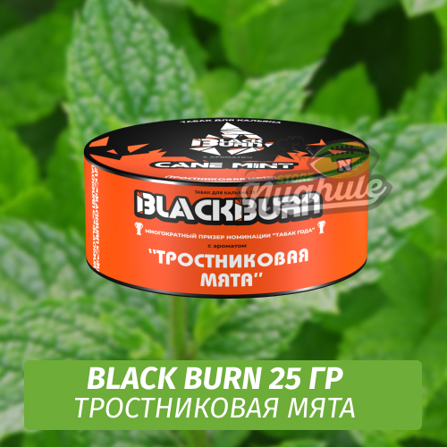 Табак Black Burn 25 гр Cane Mint (Тростниковая мята)