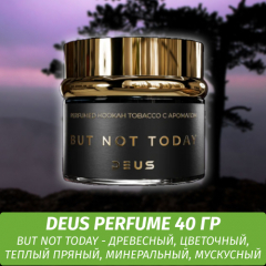 Табак Deus Perfume 40 гр - But not today