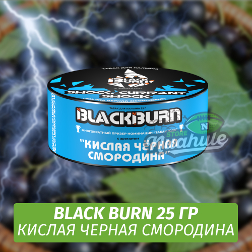 Табак Black Burn 25 гр Shock, Currant Shock (Кислая Черная Смородина)