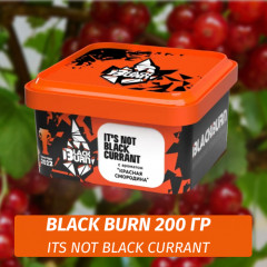 Табак Black Burn 200 гр Red Currant (Красная Смородина)