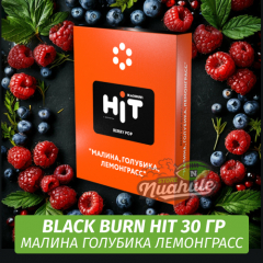 Табак Black Burn HiT 30г Berry Pop (Малина, Голубика, Лемонграсс)