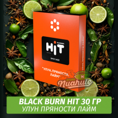 Табак Black Burn HiT 30г Spicy Jazz (Улун, Пряности, Лайм)