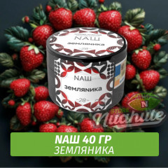 Табак Naш - Земляника (40г)