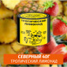 Табак Северный 40 гр Тропический Лимонад