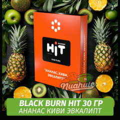 Табак Black Burn HiT 30г Pine Punk (Ананас, Киви, Эвкалипт)