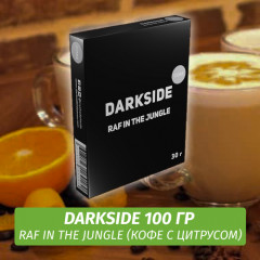 Табак Darkside 100 гр - Raf in the Jungle Core