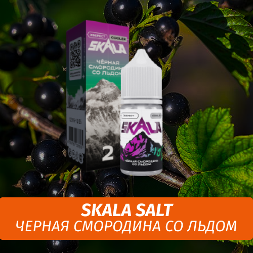 Жидкость Skala Salt, 30 мл, Эверест (Черная Смородина со Льдом), 2